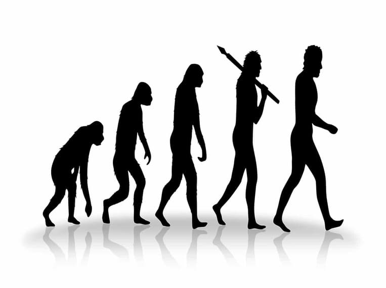 Régime paléolithique Evolution de l'homme